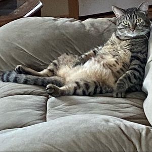 Meet your Posher, Brad